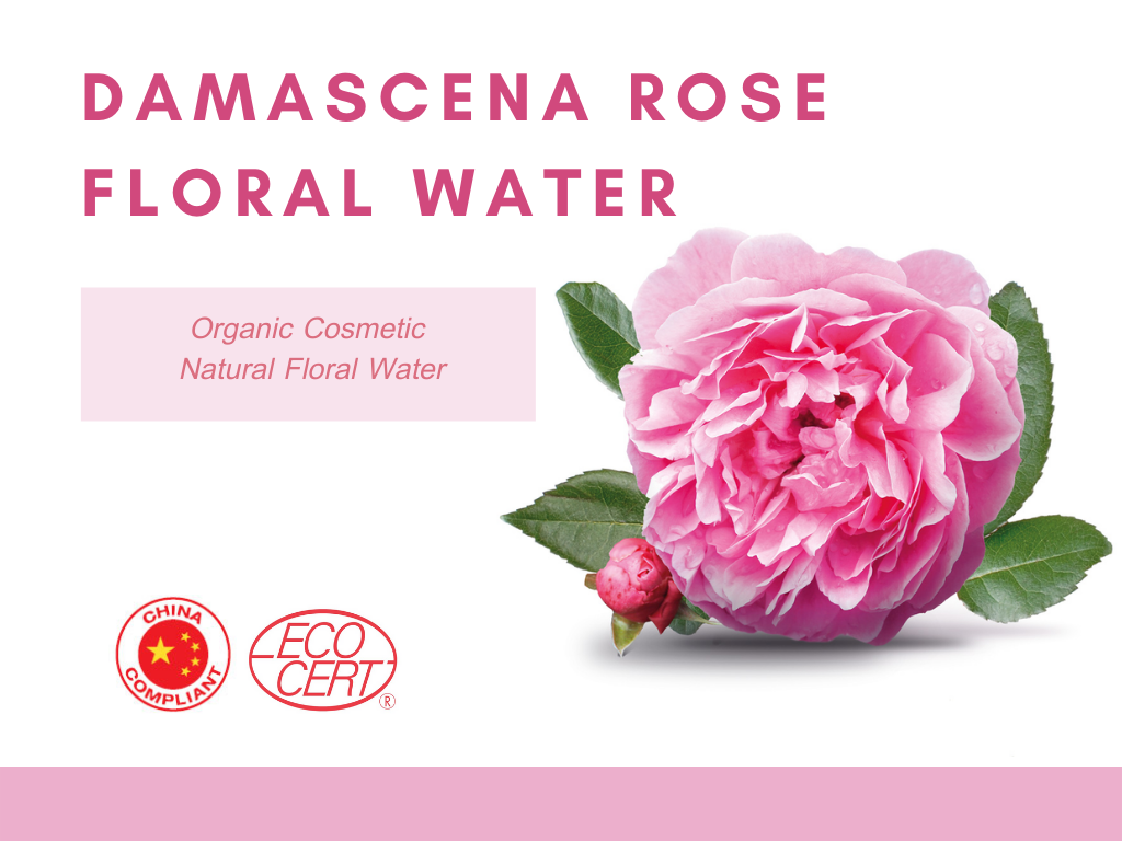 Damascena Rose Floral Water น้ำดอกกุหลาบดามัสเซน่าออแกนิค จากประเทศฝรั่งเศส ช่วยฟื้นฟูและบำรุงผิวพรรณให้นุ่ม ชุ่มชื้น